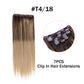 Hair Extensions Clip